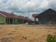 20150226_134849_resized (Copy)