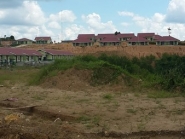 20150511_120310_resized (Copy)